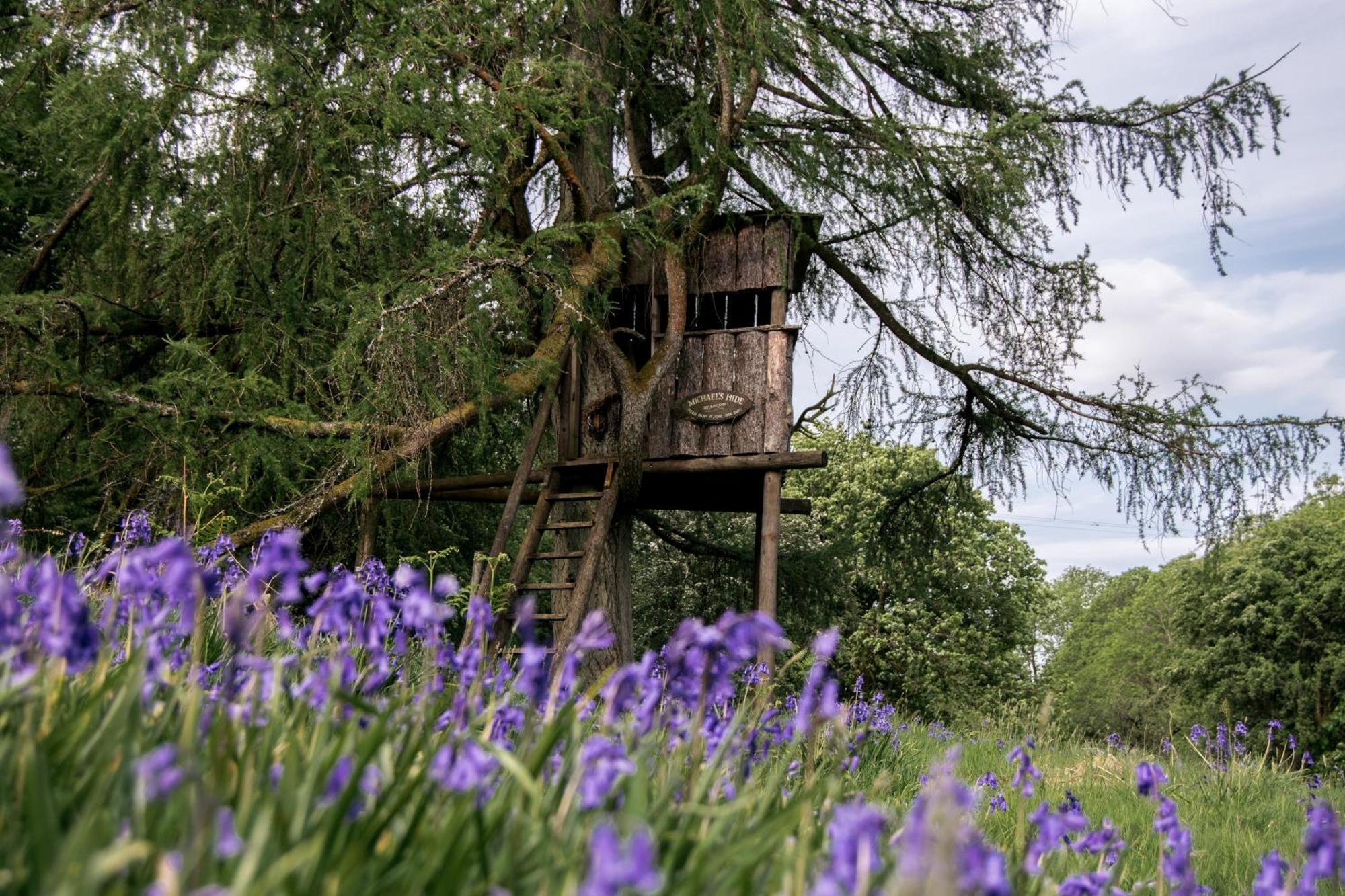 Wild Boar Estate Ξενοδοχείο Bowness-on-Windermere Εξωτερικό φωτογραφία