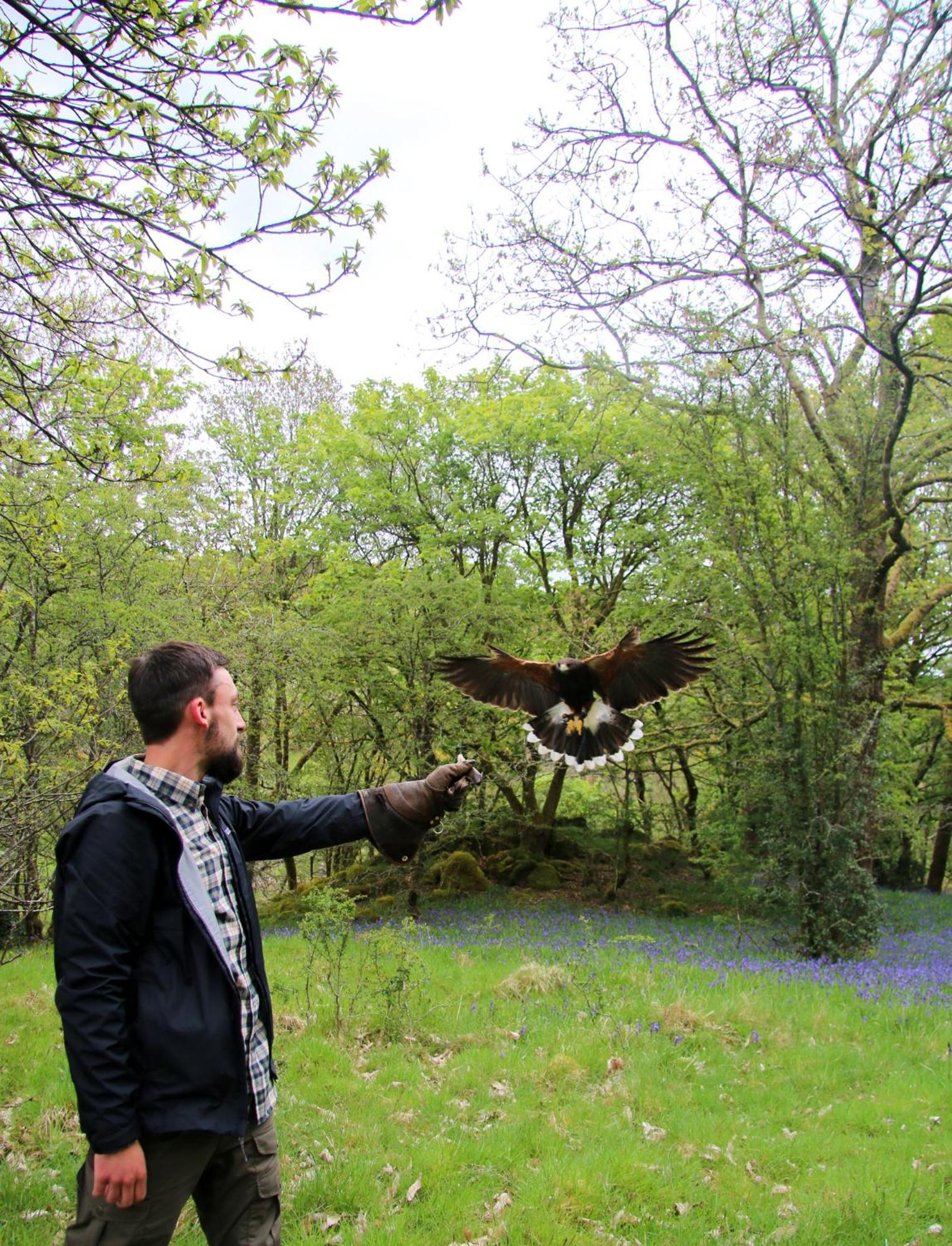 Wild Boar Estate Ξενοδοχείο Bowness-on-Windermere Εξωτερικό φωτογραφία