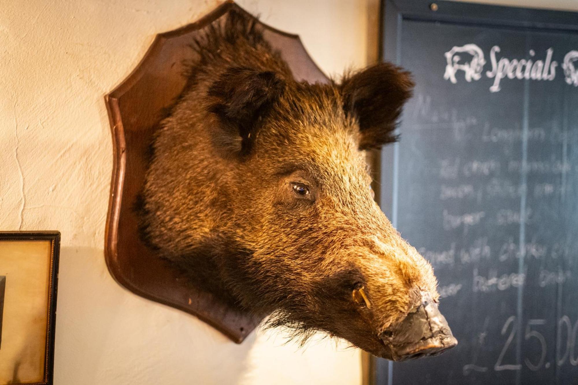 Wild Boar Estate Ξενοδοχείο Bowness-on-Windermere Εξωτερικό φωτογραφία